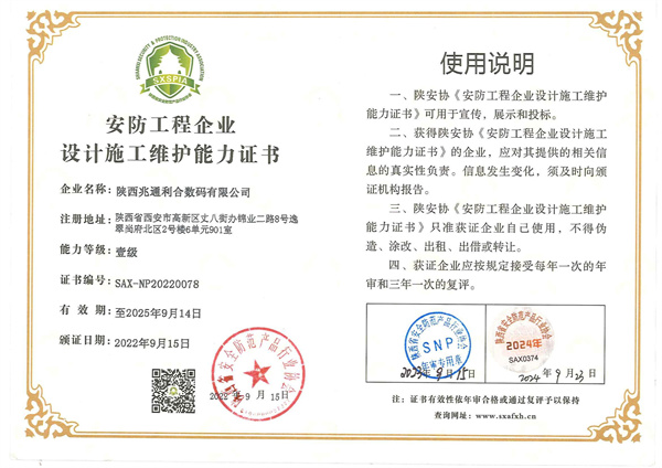 安防一级